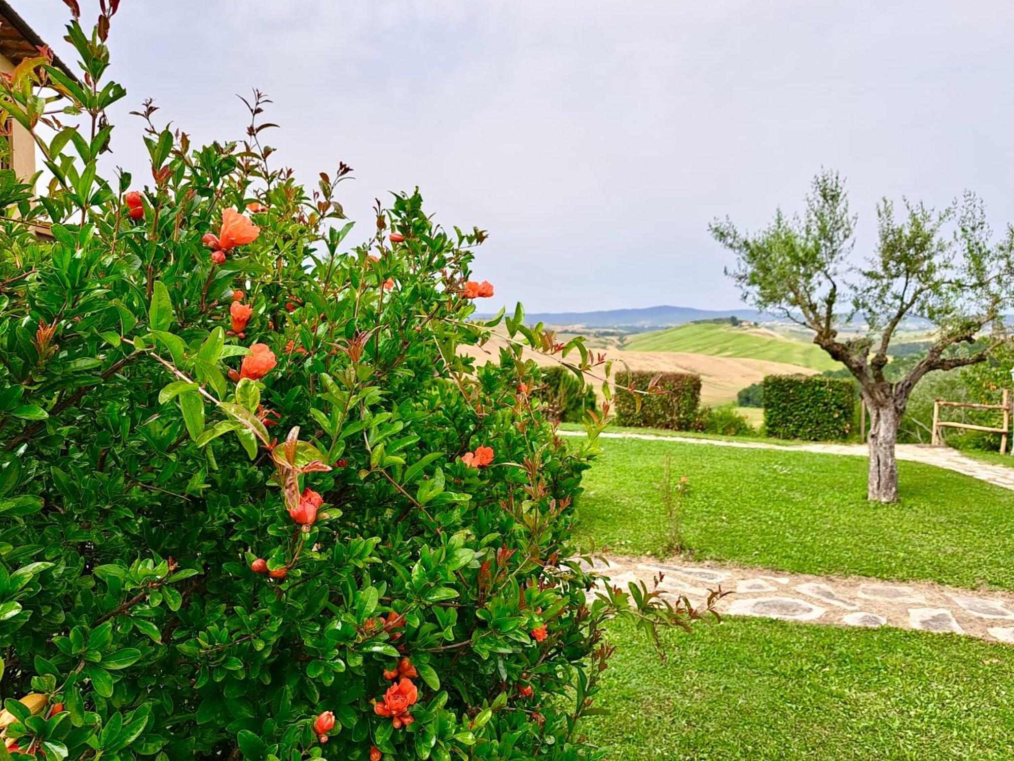 אסיאנו Agriturismo Caliano מראה חיצוני תמונה