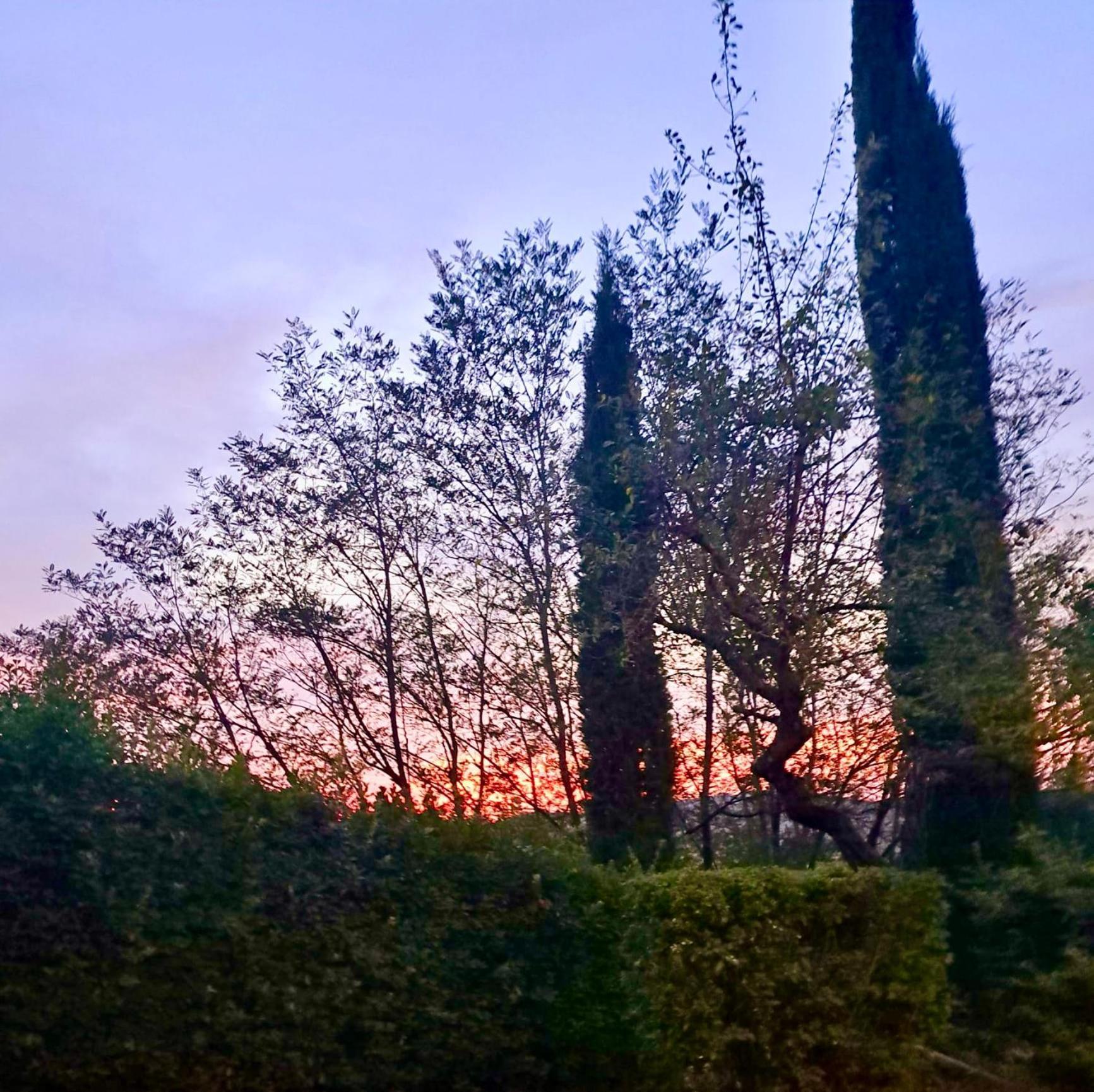 אסיאנו Agriturismo Caliano מראה חיצוני תמונה