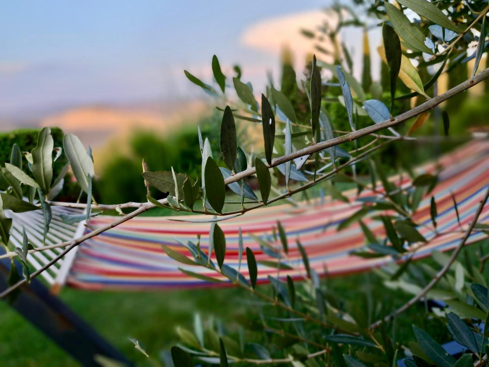 אסיאנו Agriturismo Caliano מראה חיצוני תמונה